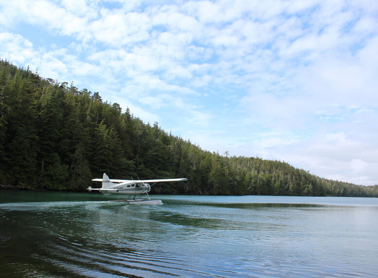 Sea Plane
