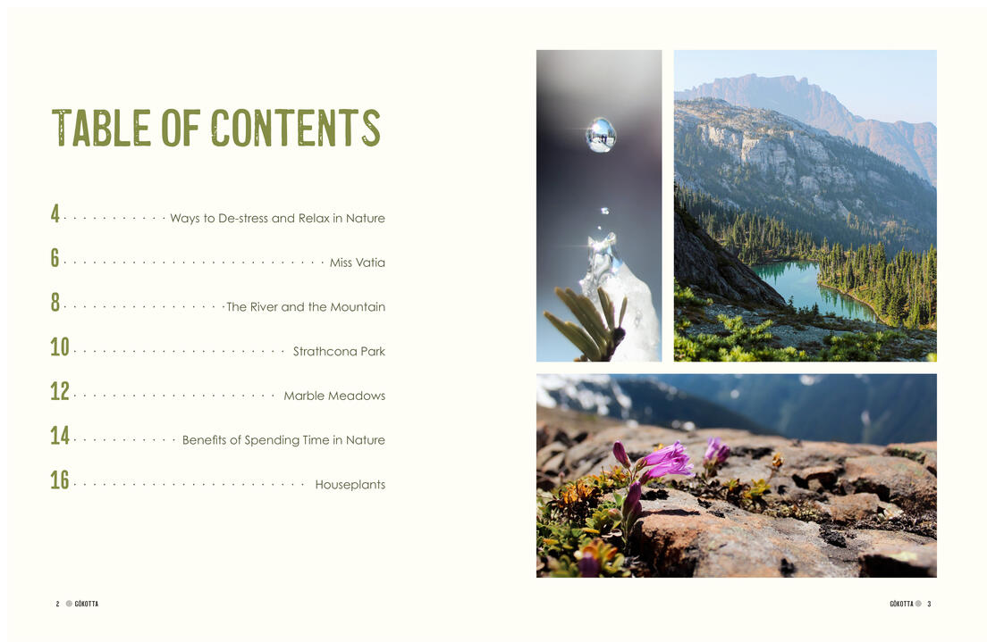 Table of Contents