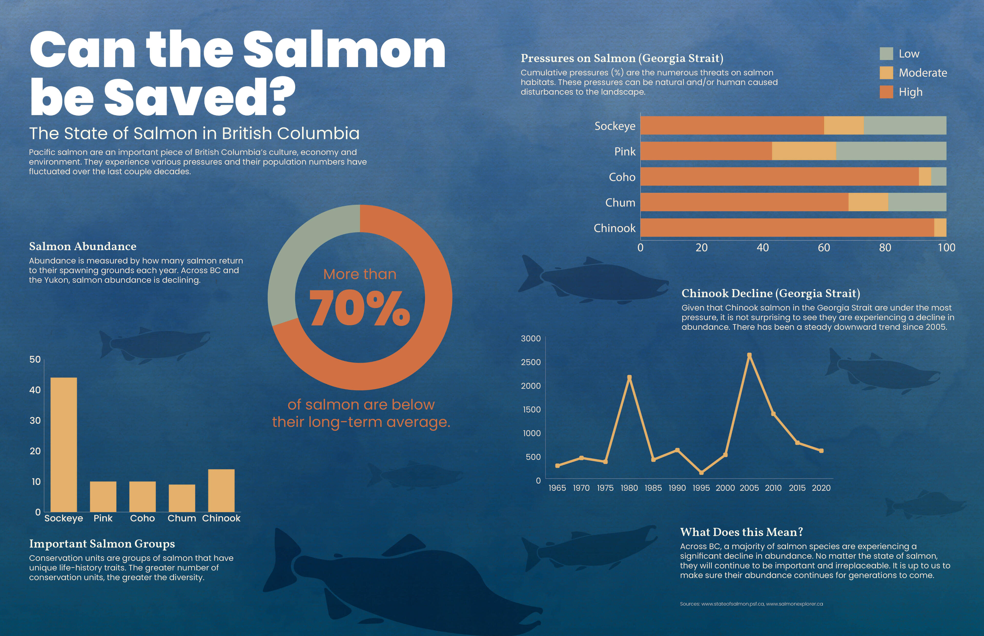 Can the Salmon be Saved Infogaphic