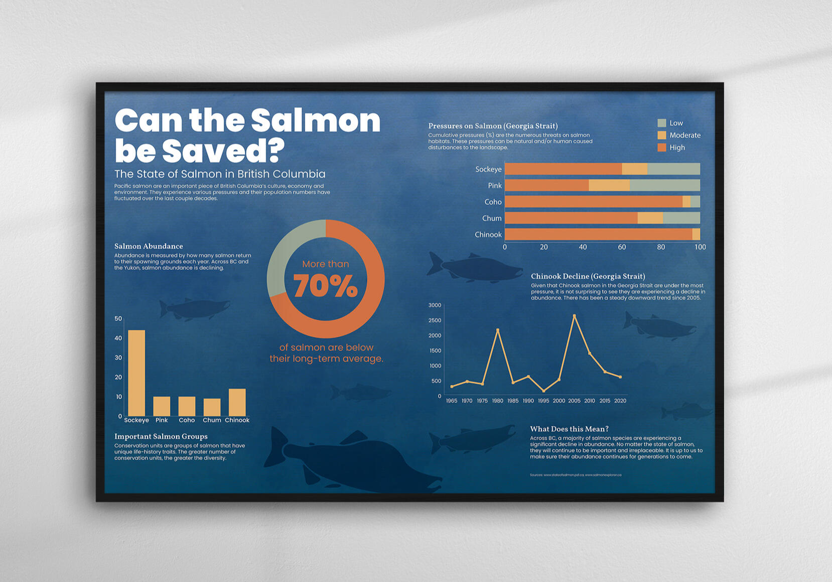 Salmon Infographic